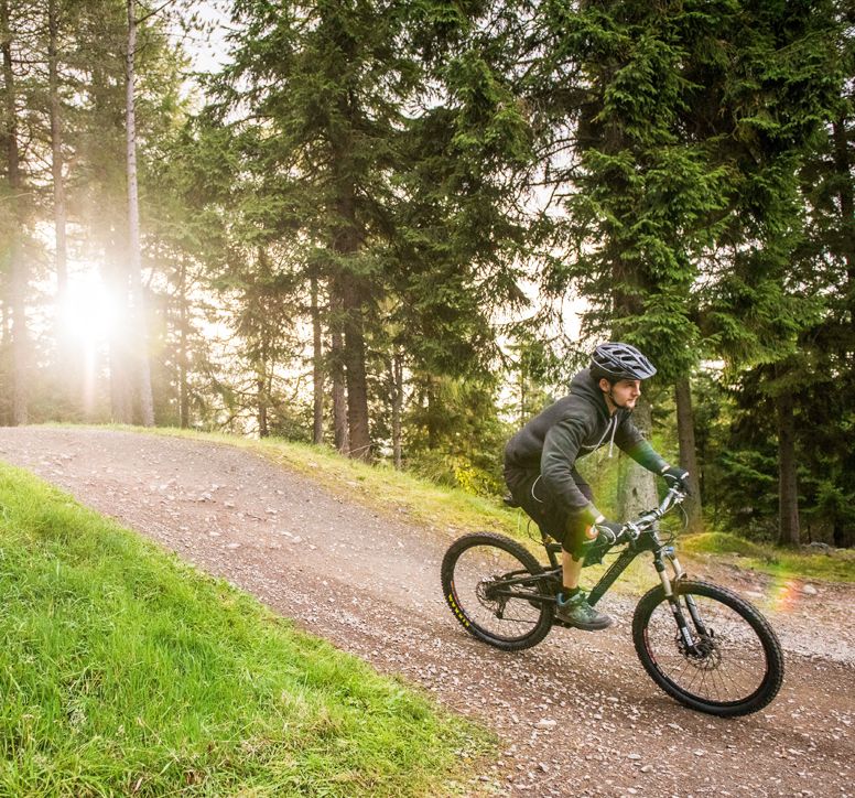 Man riding a mountain bike along a forest trail