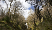 Wide view of person on zip wire across hills beside waterfall, flanked by woodland, Queen Elizabeth Forest Park, Aberfoyle