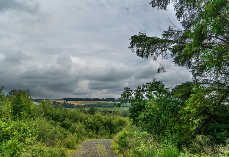 A forest road elevated over rolling fields with dark clouds