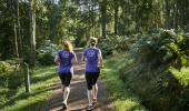 Rear view of two female runners running on tree lined track in Callendar Park parkrun, Falkirk