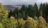 Forest and mountains around the Carie Hydro Scheme, Loch Rannoch, Perthshire