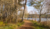 A forest path next to a loch