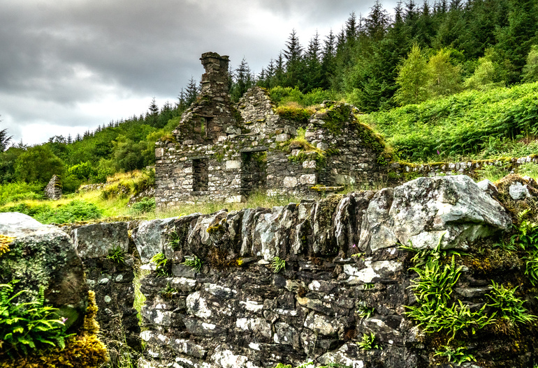  Stone ruins of a house with trees and ferns