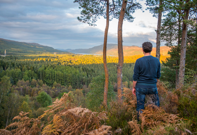Man looking out over dense forest under a cloudy sky from a view point in bracken.