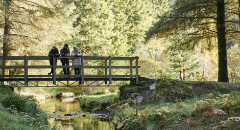 Man, woman and teenage girl stand on wooden bridge over stream, on woodland trail Aldie Burn forest, near Tain