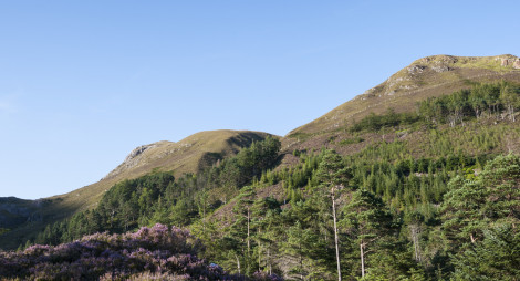 Green forested hillside with bare summit and blue sky above