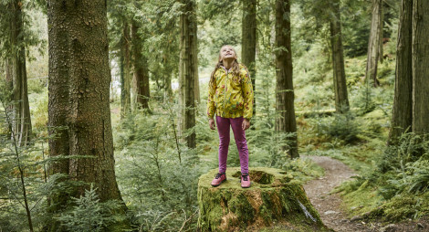 Young girl in pink leggings stands on top of moss covered tree stump on woodland trail, Benmore Forest, near Dunoon