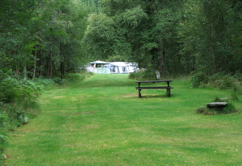 Grassy field surrounded by trees with a caravan in the distance