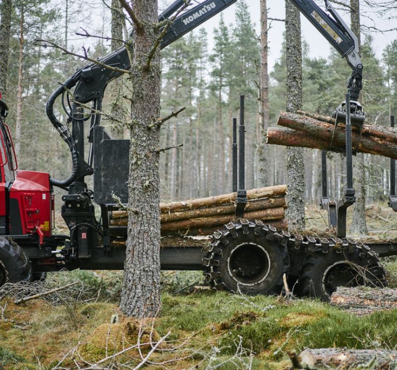 Harvesting machine picking up felled trees from a forest