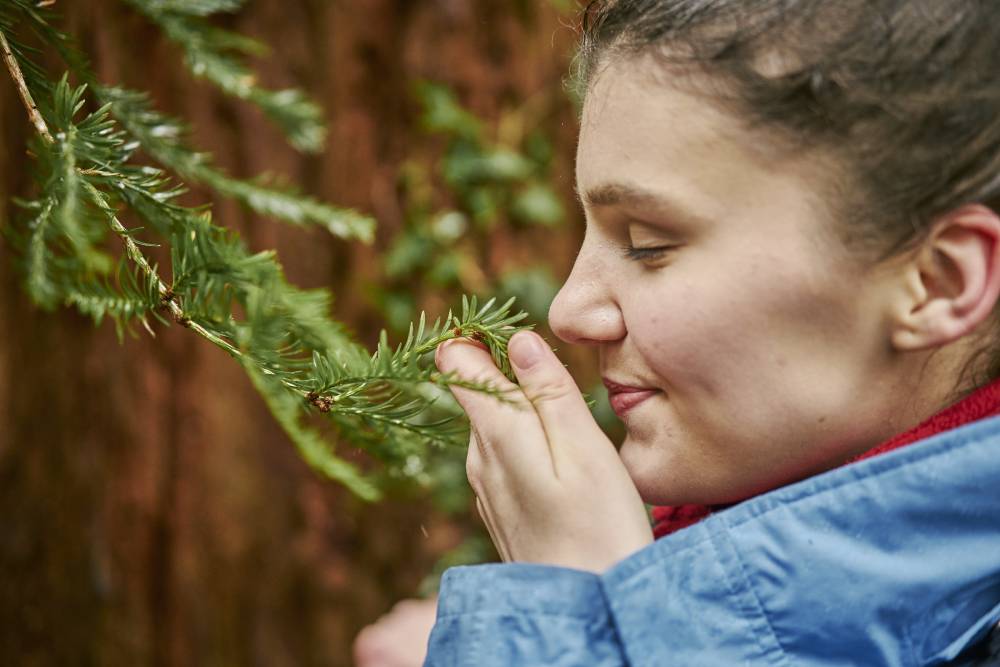 Girl sniffing the needles of a spruce tree