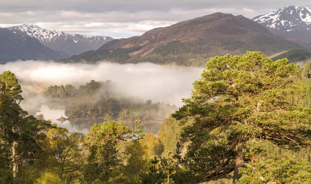 Mountains, trees, a loch and low clouds at Glen Affric