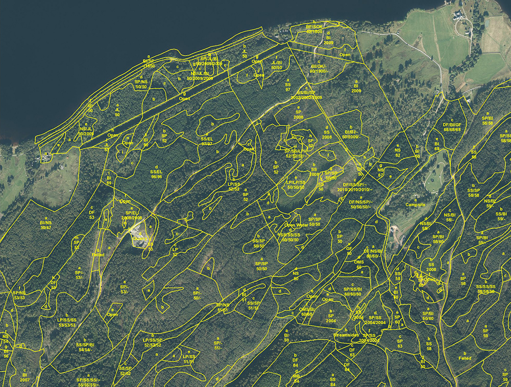 GIS map of forest, aerial view