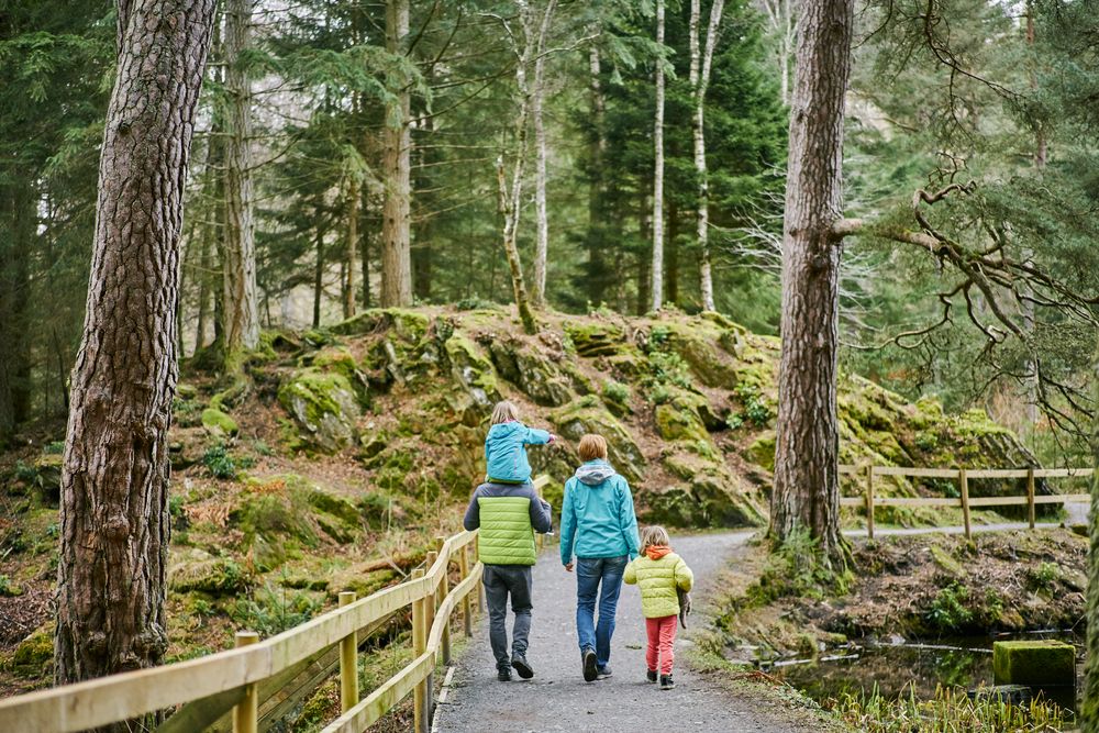 Man in green jacket carrying young girl in blue jacket on his shoulders walks alongside woman in blue jacket holding hands with young girl, on smooth woodland path with forest of tall trees beside, Faskally, near Pitlochry