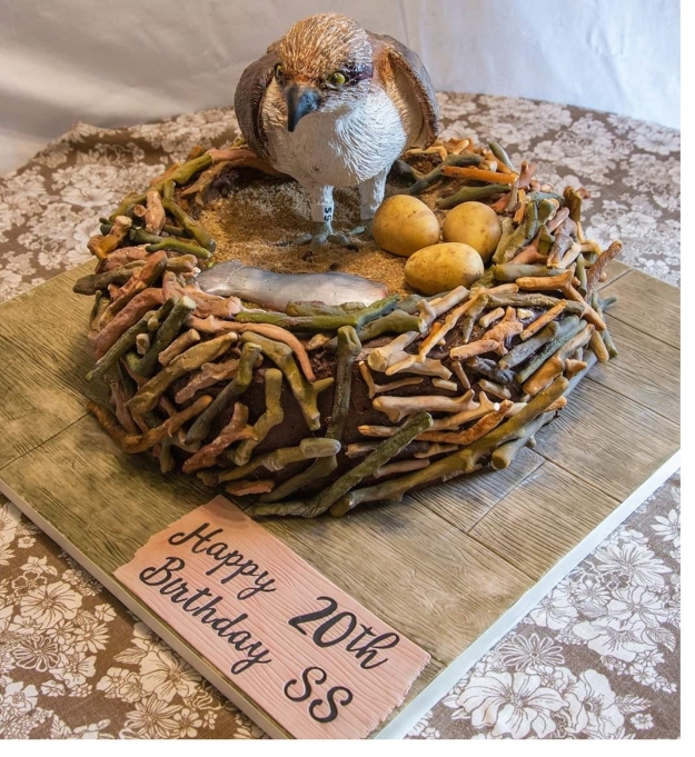 Cake shaped like an osprey nest