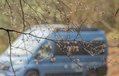 Broadleaf branches in spring with a blurred our blue van behind