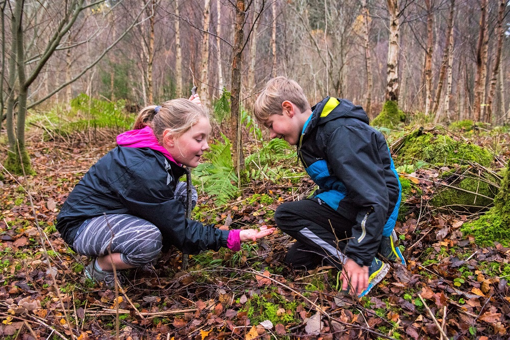 Two children looking at lichen on a forest floor