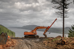 Orange forest equipment on a hill overlooking a loch with a tree next to it