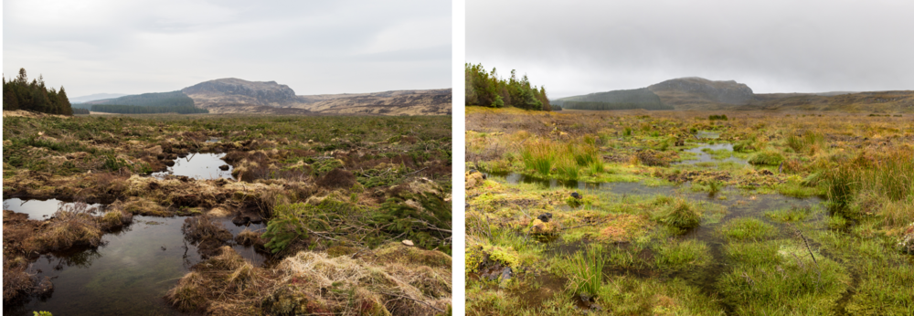 Peatland before and after