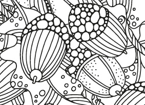 A colouring in sheet of acorns and oak leaves