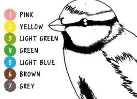 A black and white drawing of a bird for colouring in. A list of colours numbered 1-7. 1 - pink. 2 - yellow. 3 - ight green. 4 - green. 5 - light blue. 6 - brown. 7 - grey.