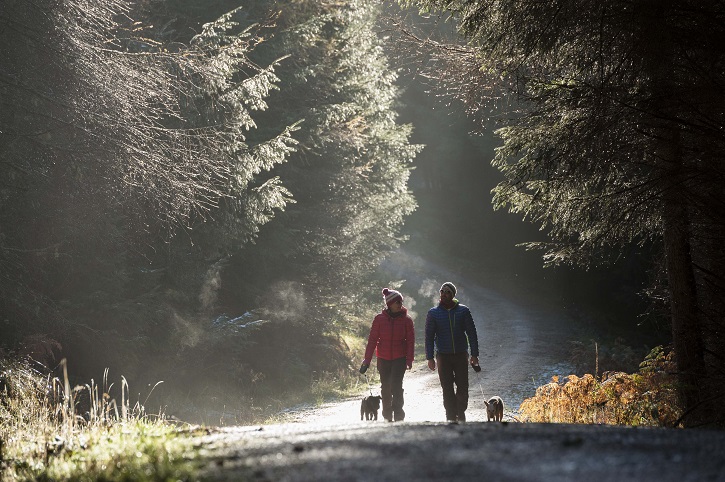 Two people wearing thick jackets and hats walking up a forest road towards camera with two dogs, surrounded by trees