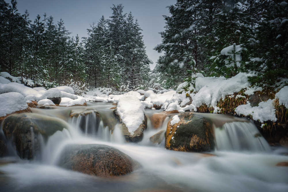 Snowy rocks in middle of flowing river with trees behind