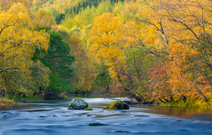 Autumn colours on the trees surrounding a river