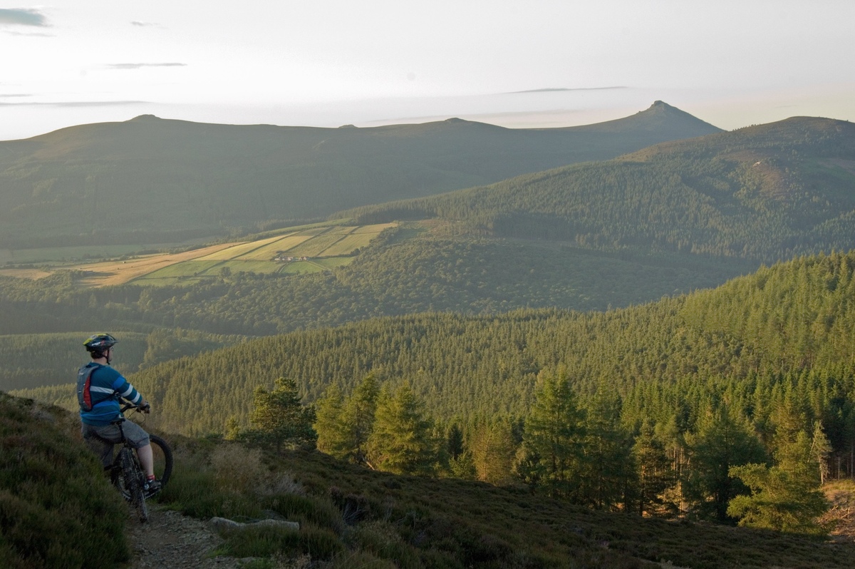 A mountain biker looking over vast forests towards the hilltop of Bennachie