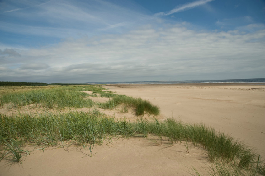 Large beach with some grasses below a wide blue sky
