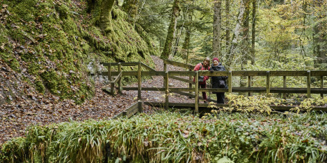 Two ladies stood on a leave-covered footpath with a wooden railing in a wet and green gorge with lots of trees.