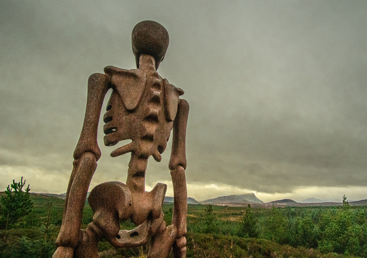 A metal skeleton statue overlooking a glen