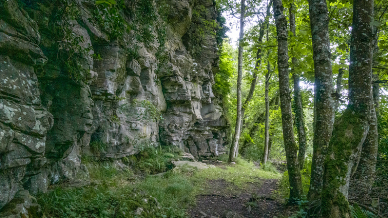 A walking path through a mixed woodland with rock faces next to the path