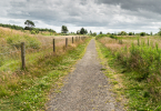 A gravel walking trail through a meadow