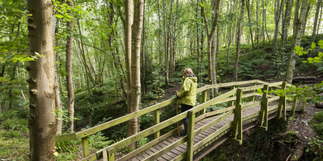A woman in a yellow jacket standing on a wooden bridge over a river underneath a green broadleaf tree at Dunnottar Woods