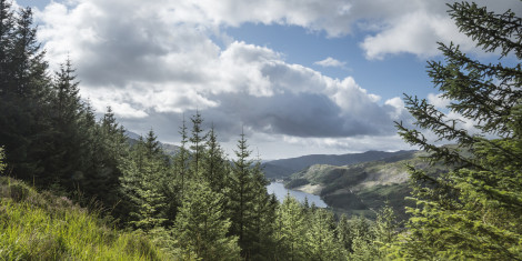 Aerial view of a loch through a pine woodland with hills in the background.