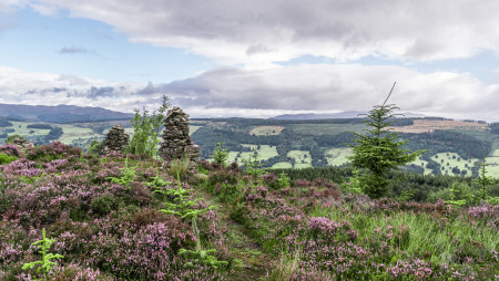 Stone cairns among heather at Grandtully