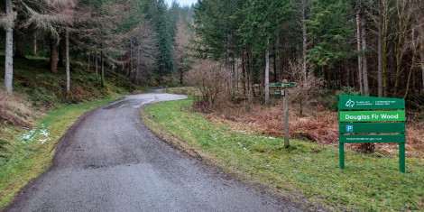 Gravel drive leading into a forest of large green trees with signpost in the foreground