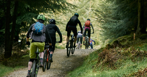 Mountain bikers cycling through forest