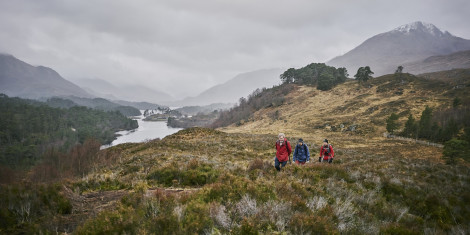 Hikers moving through heather and forest on cloudy day