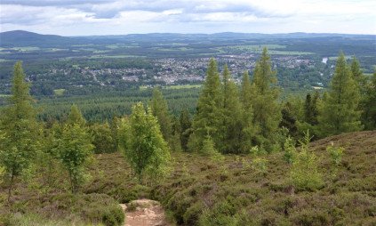 Hilltop view down upon a large forest and distant town