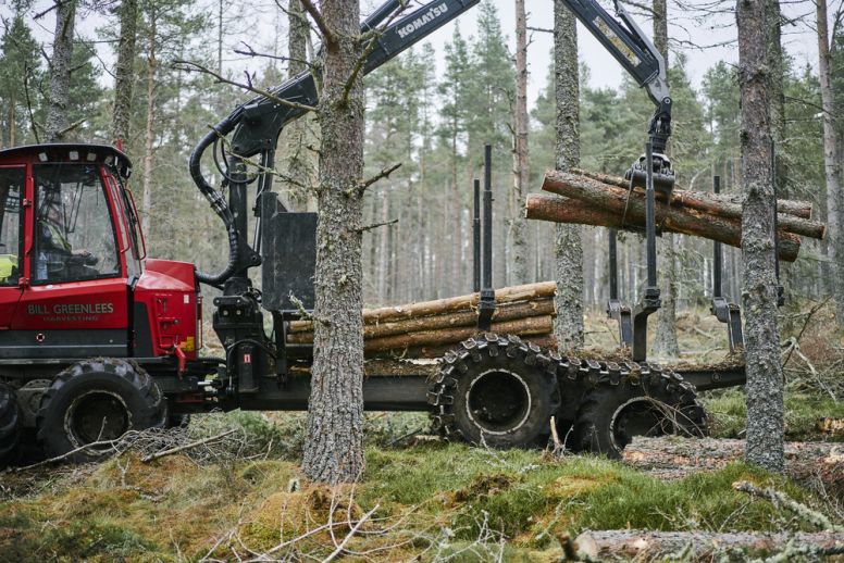 Harvesting machine picking up felled trees from a forest
