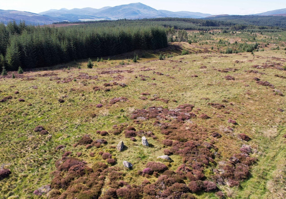 A stone circle surrounded by heather, trees and mountains