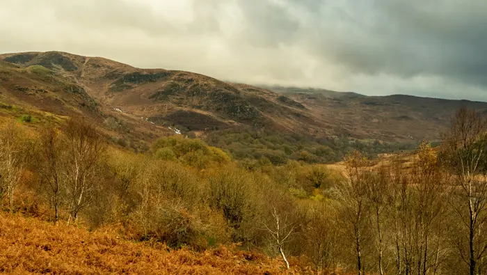 A valley with a water fall and trees with orange bracken.