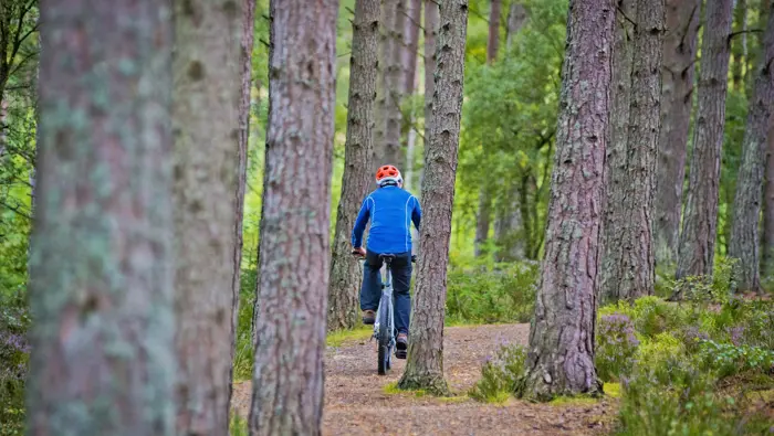 Person on mountain bike on a path in a forest.