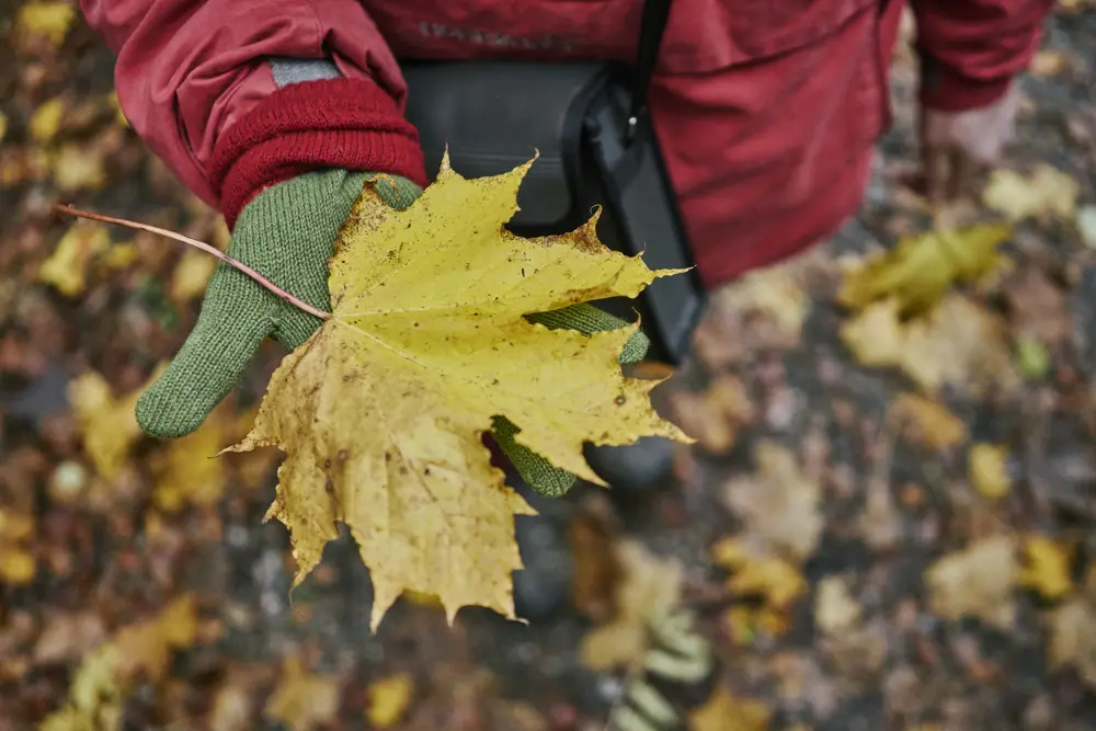 fls nr reeligglen lower photo oct 2019 122