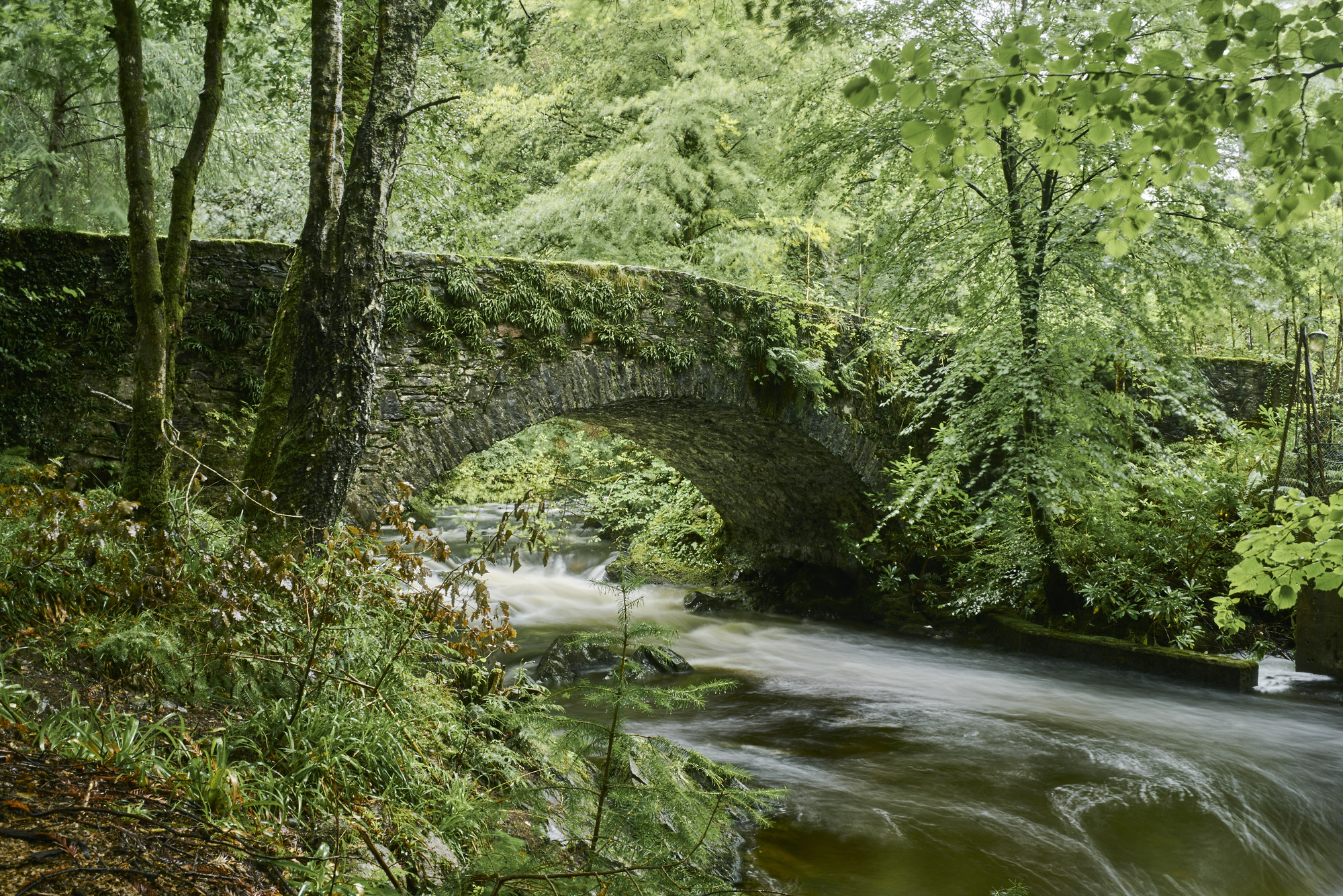 Water flows under stone arched bridge over boulders in river, flanked by moss covered rocks and trees, Sutherland's Grove, Barcaldine