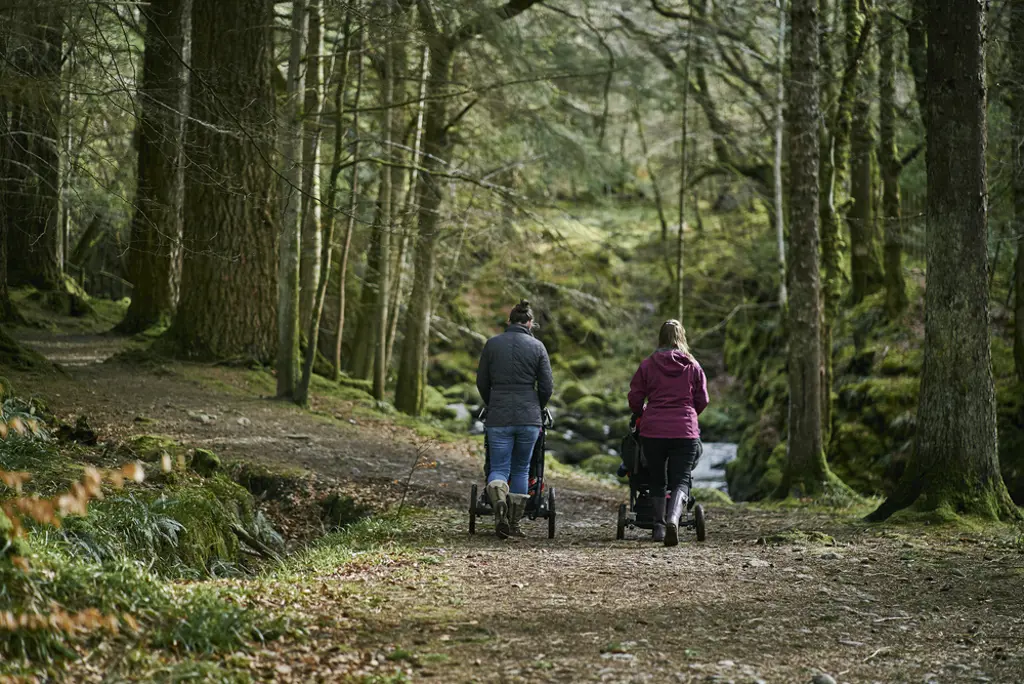 Two women pushing strollers on a wide forest path.