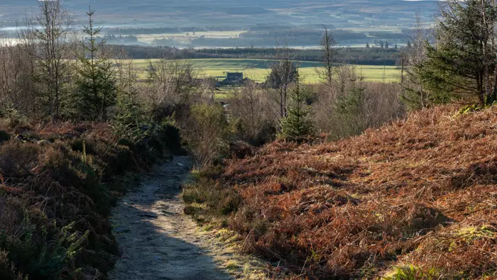 Path through woodland with fields in the distance.