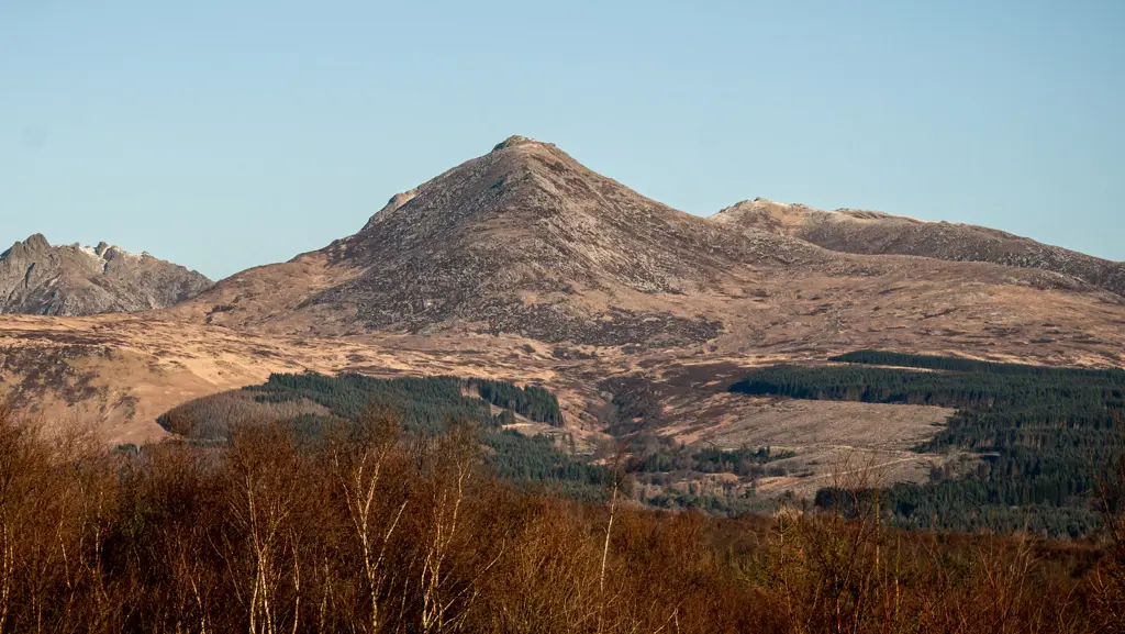 Conifers and broadleaves in the foreground with a mountain in the background.