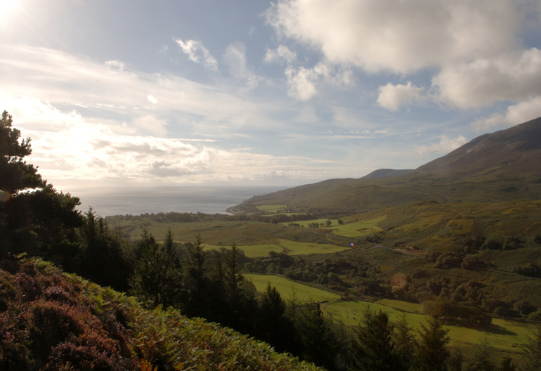 Two mountain peaks with a green meadow and a woodland below